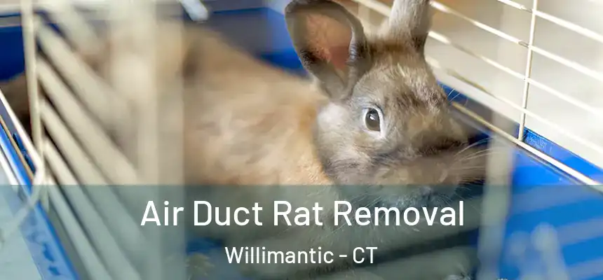  Air Duct Rat Removal Willimantic - CT