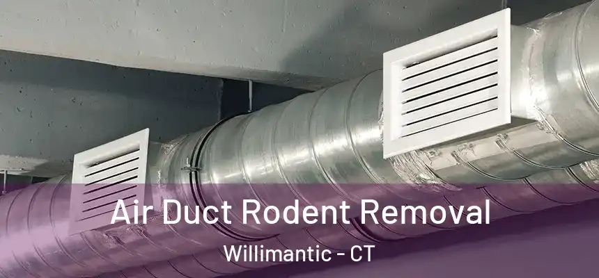 Air Duct Rodent Removal Willimantic - CT