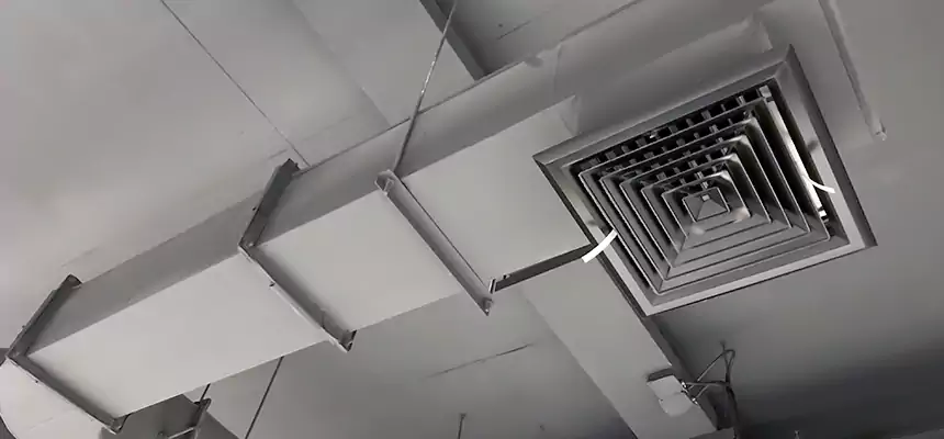 Our Pest Removal From Ducts Services in Willimantic, CT