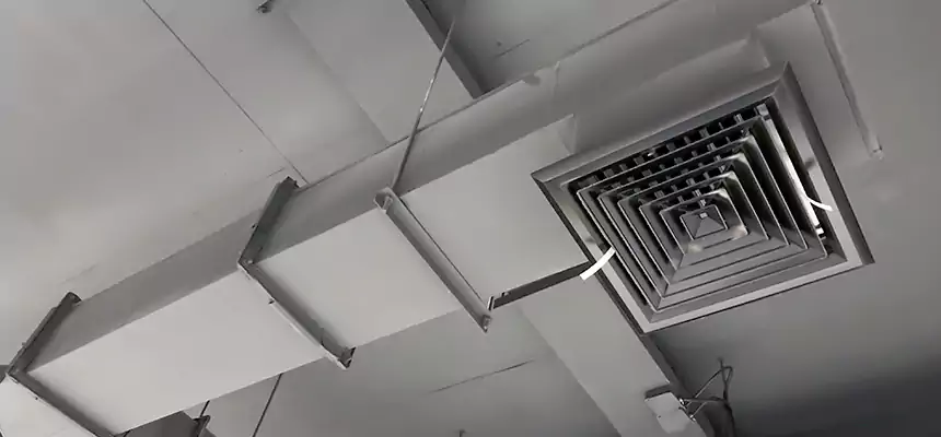 Our Rodent Droppings In Vents Services in Willimantic, CT