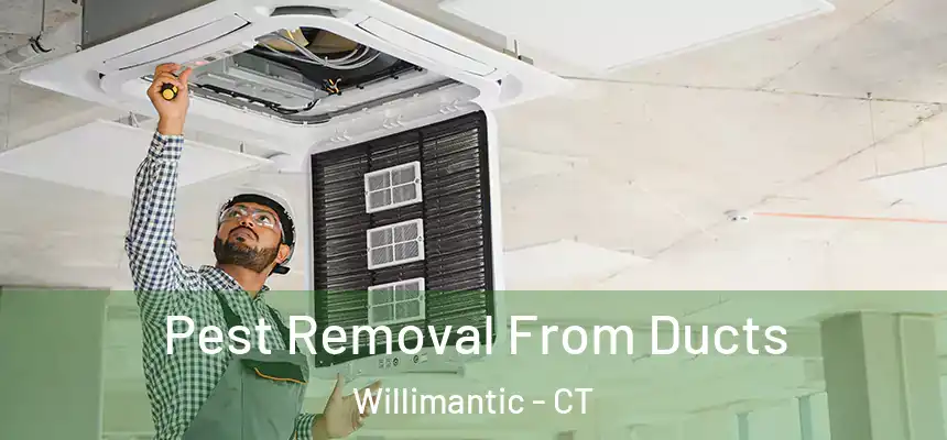 Pest Removal From Ducts Willimantic - CT