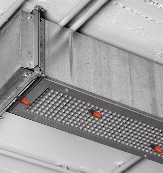 Affordable Insect Removal from Air Ducts in Willimantic, CT