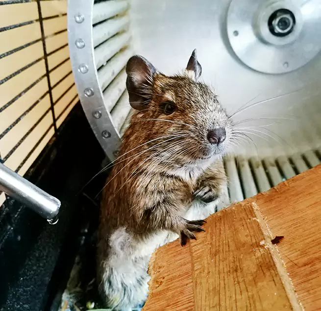 Why Homeowners & Businesses Trust Us Willimantic, CT