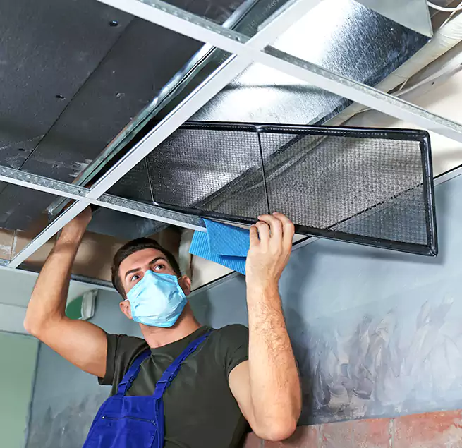 Why Homeowners Businesses Trust Us in Willimantic, CT