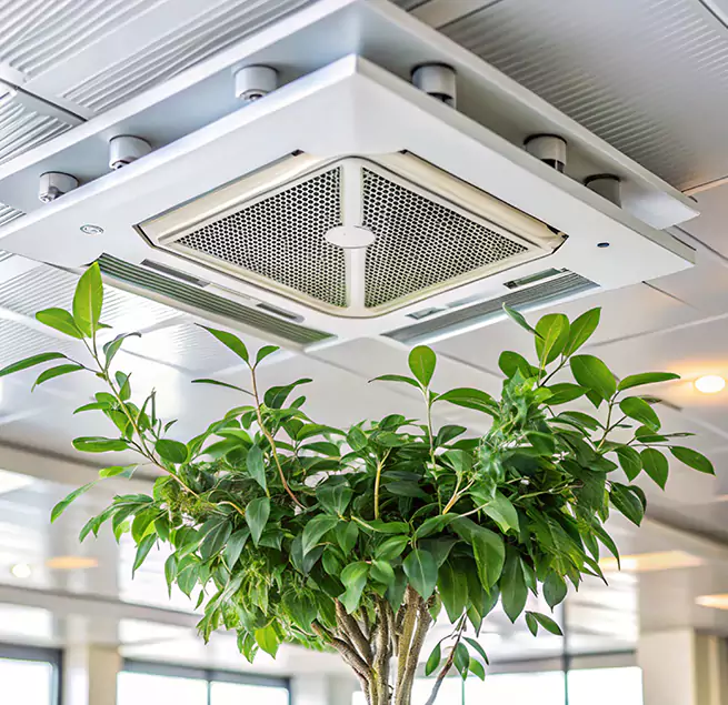 Why Homeowners & Businesses Trust Us in Willimantic, CT