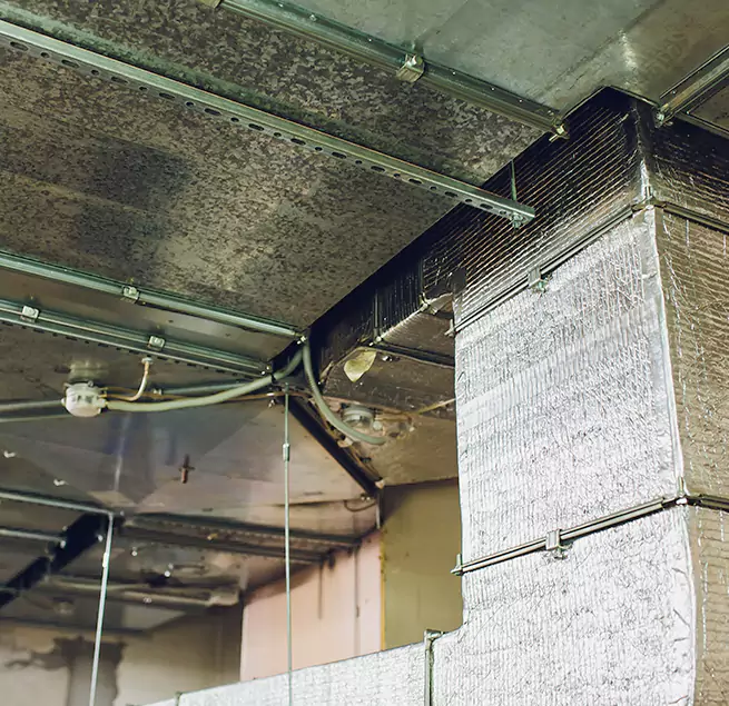 Why Homeowners & Businesses Trust Us in Willimantic, CT?